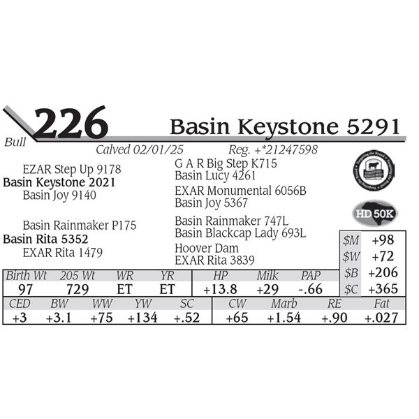 Basin Keystone 5291