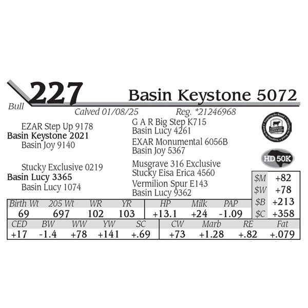 Basin Keystone 5072