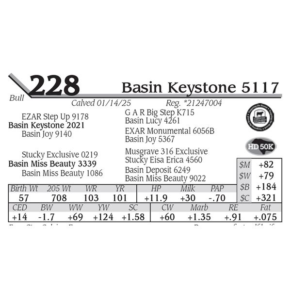 Basin Keystone 5117