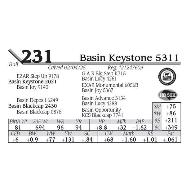 Basin Keystone 5311