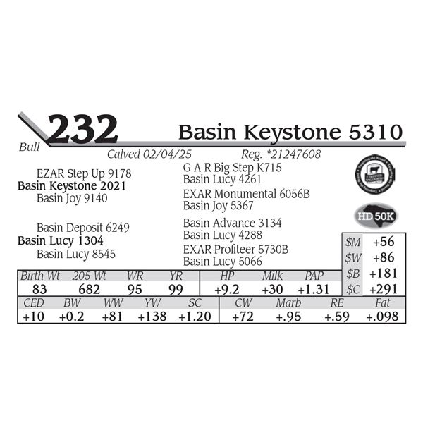 Basin Keystone 5310