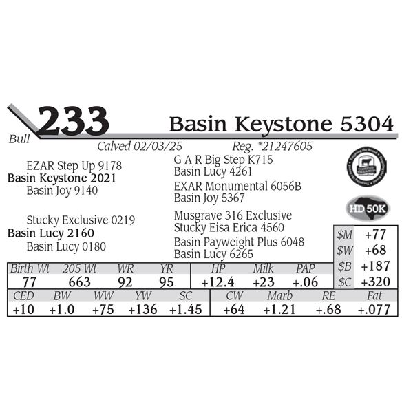 Basin Keystone 5304