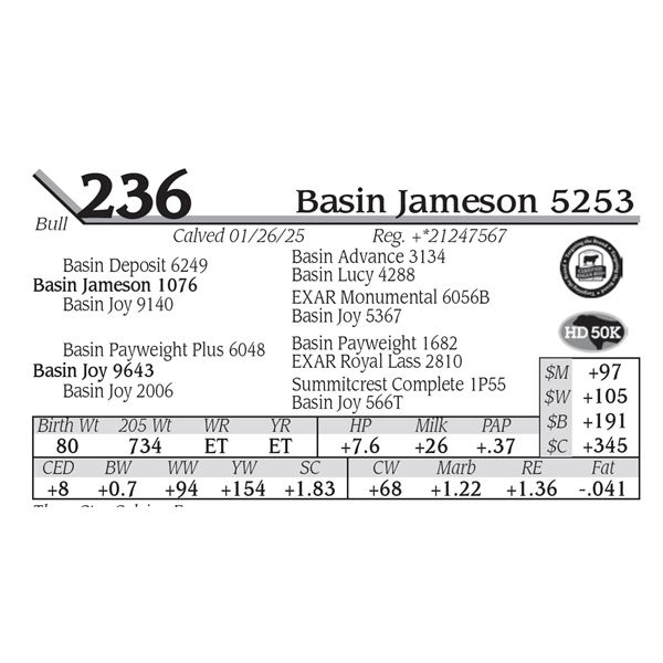 Basin Jameson 5253