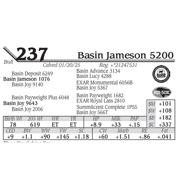 Basin Jameson 5200