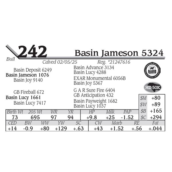 Basin Jameson 5324