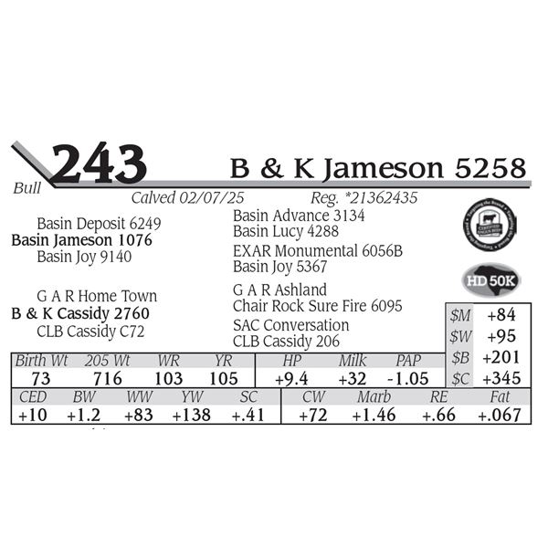 B & K Jameson 5258