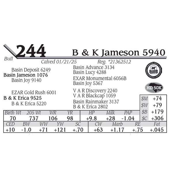 B & K Jameson 5940
