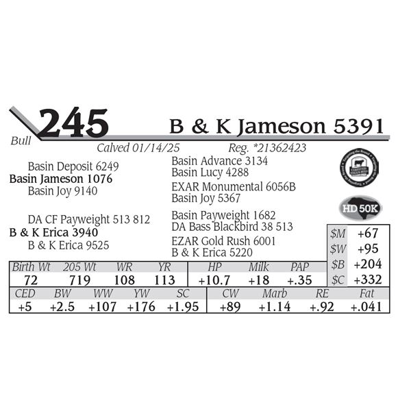 B & K Jameson 5391