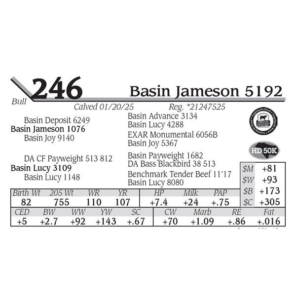 Basin Jameson 5192
