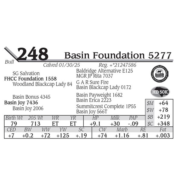 Basin Foundation 5277