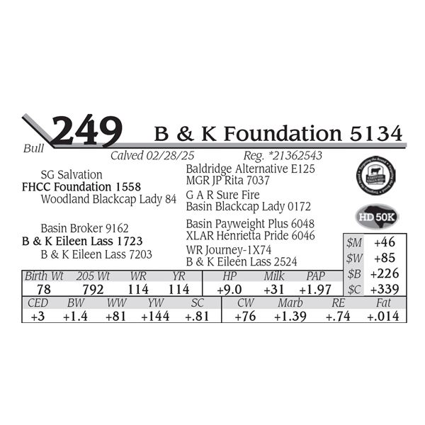 B & K Foundation 5134