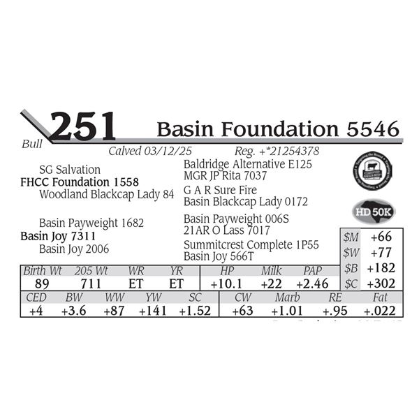 Basin Foundation 5546