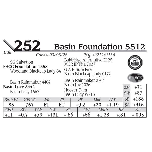 Basin Foundation 5512