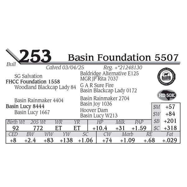 Basin Foundation 5507
