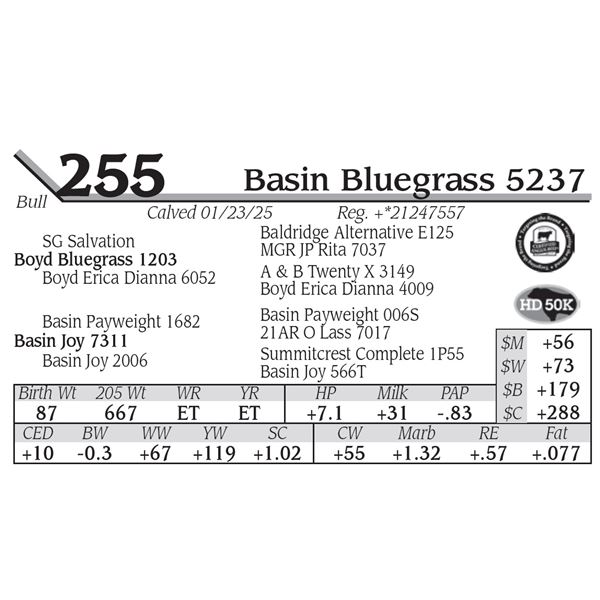 Basin Bluegrass 5237