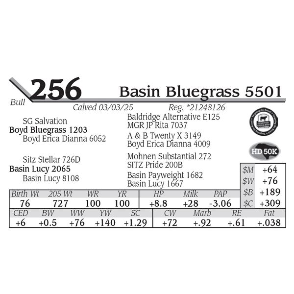 Basin Bluegrass 5501