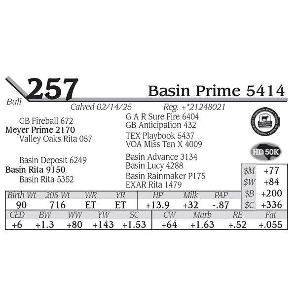 Basin Prime 5414