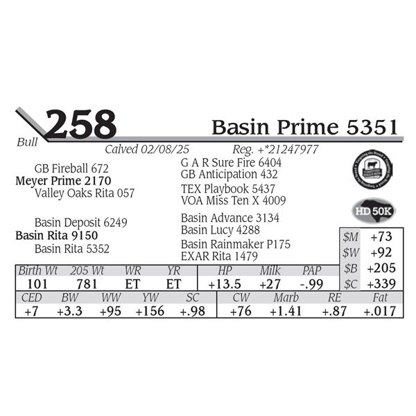 Basin Prime 5351