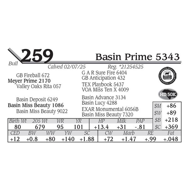 Basin Prime 5343