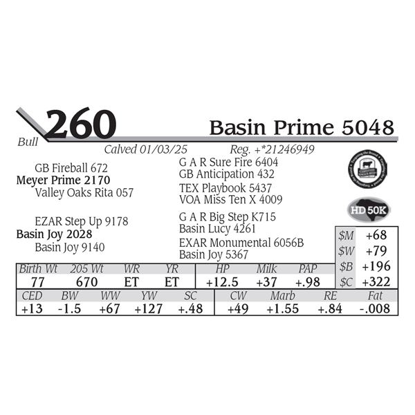 Basin Prime 5048