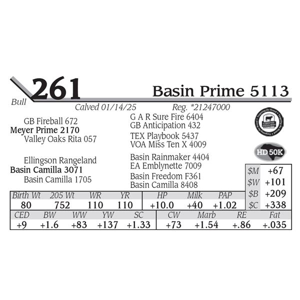 Basin Prime 5113
