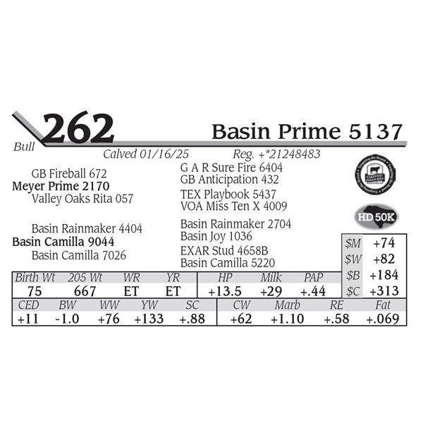 Basin Prime 5137