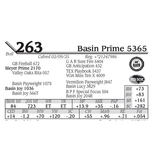 Basin Prime 5365