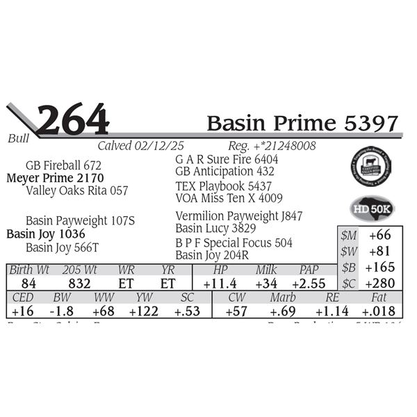 Basin Prime 5397