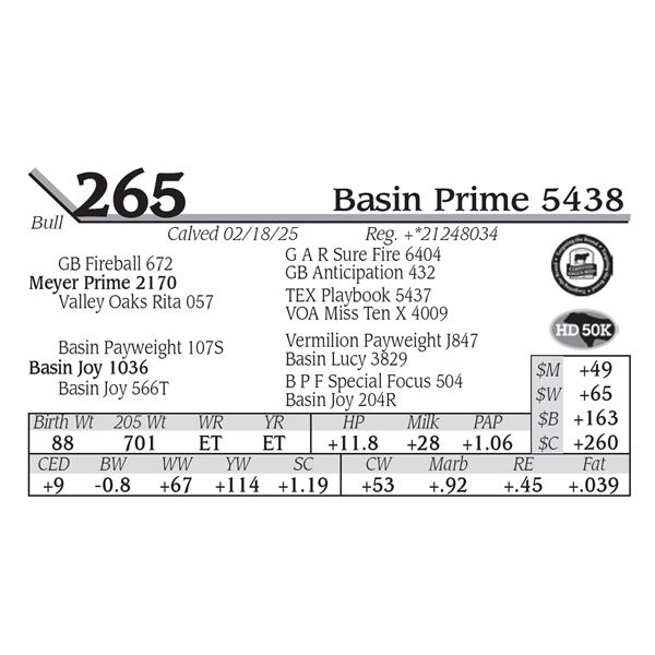 Basin Prime 5438