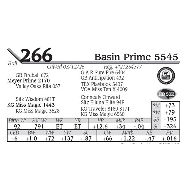 Basin Prime 5545