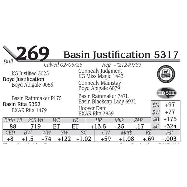 Basin Justification 5317