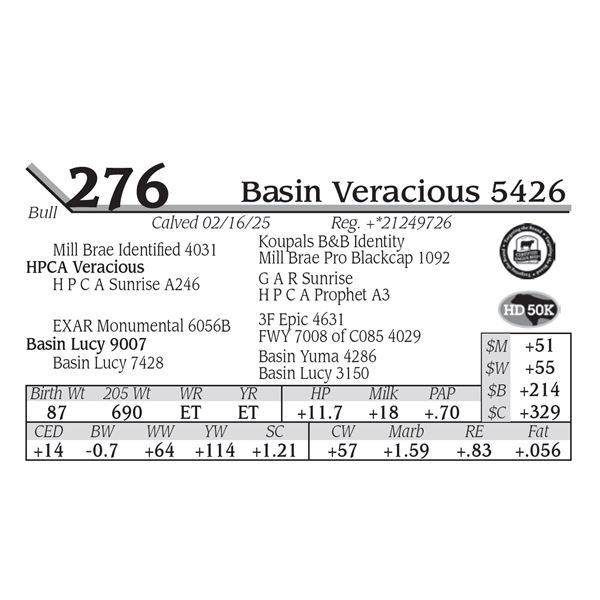 Basin Veracious 5426