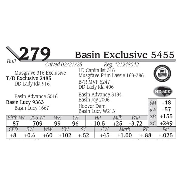 Basin Exclusive 5455
