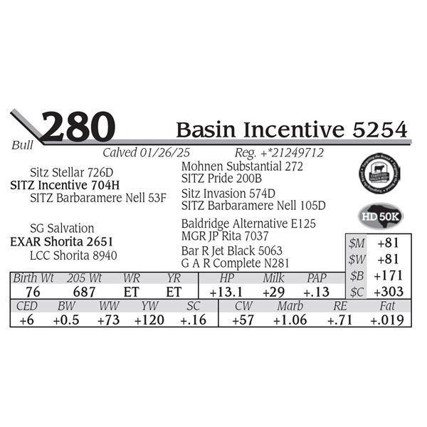 Basin Incentive 5254