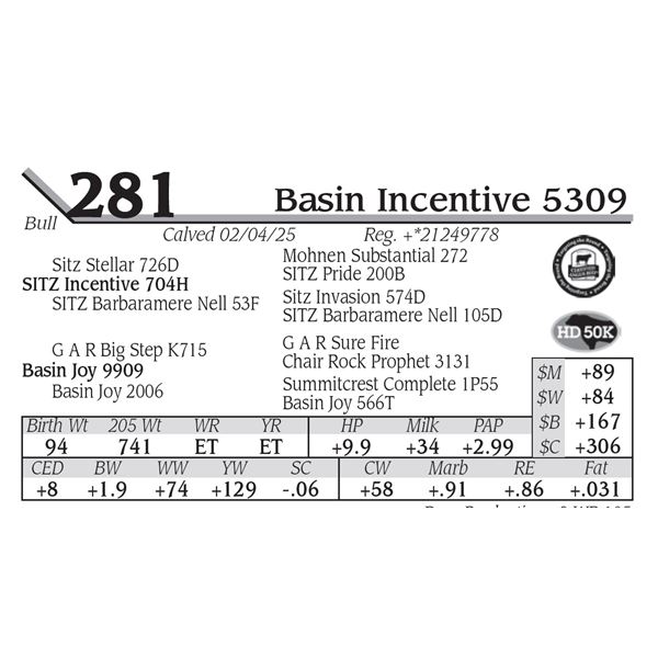 Basin Incentive 5309