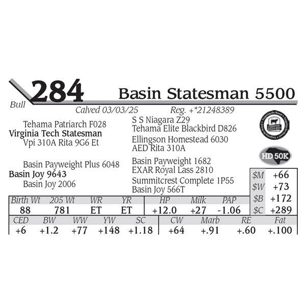 Basin Statesman 5500