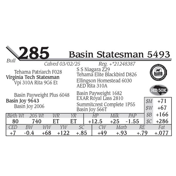 Basin Statesman 5493