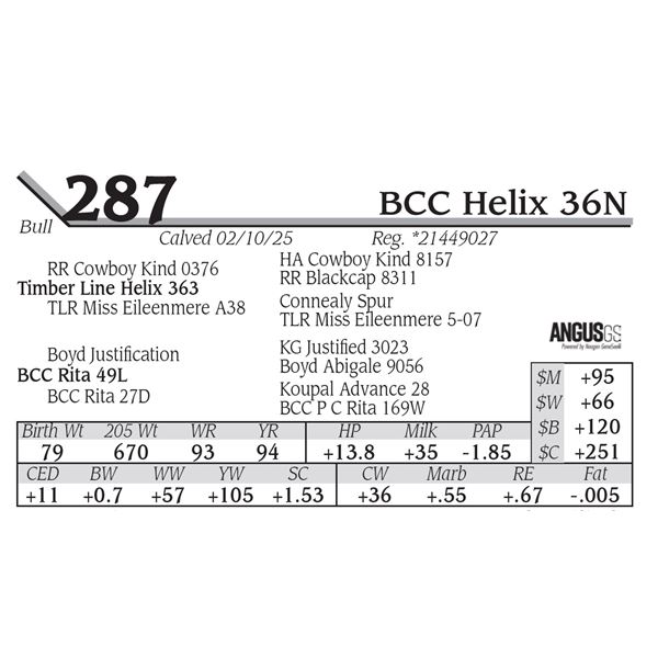 BCC Helix 36N