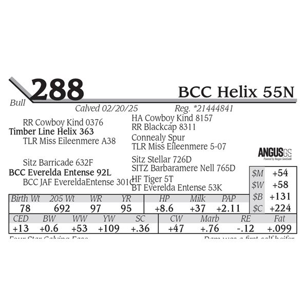 BCC Helix 55N