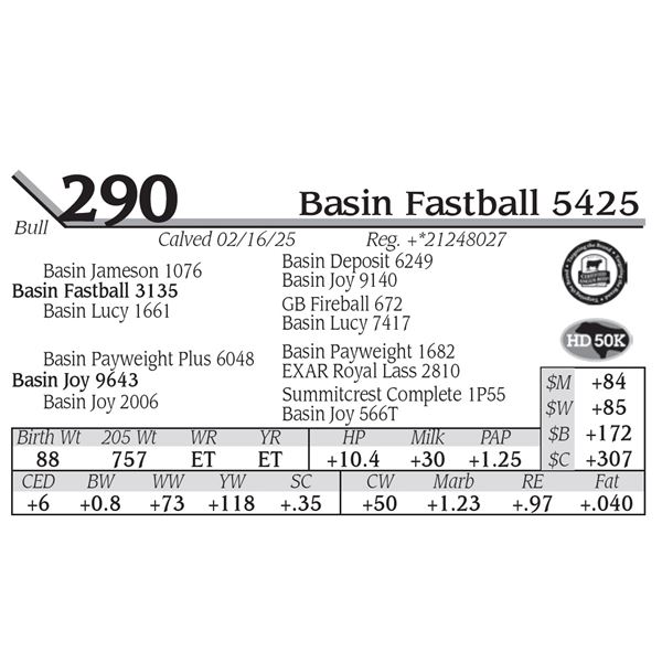 Basin Fastball 5425