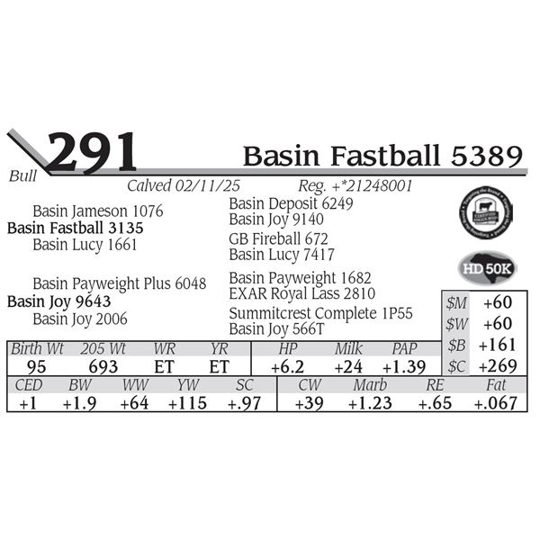 Basin Fastball 5389