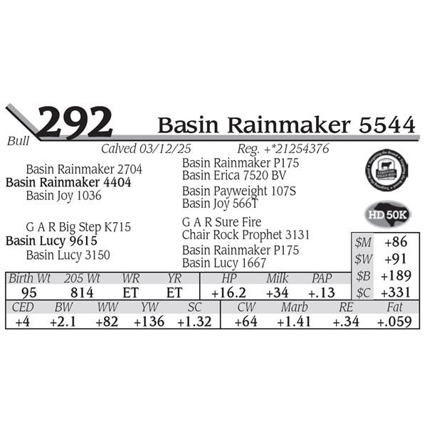 Basin Rainmaker 5544