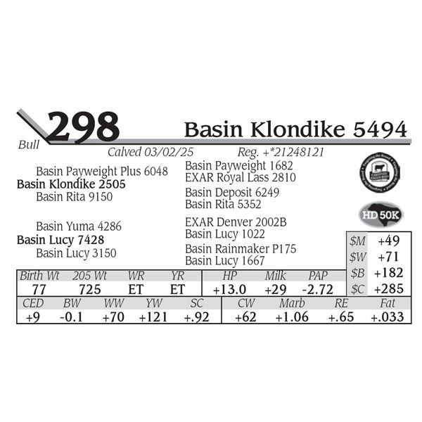Basin Klondike 5494