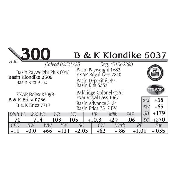 B & K Klondike 5037