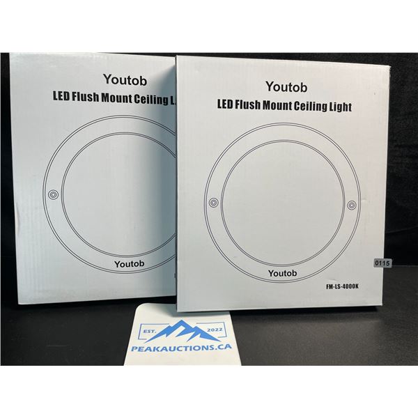 2 LED Flush Mount Ceiling Lights - 4000K - Model: FM-LS-4000K - Brand New