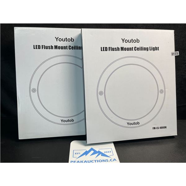 2 LED Flush Mount Ceiling Lights - 4000K - Model: FM-LS-4000K - Brand New