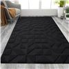 Image 1 : 1 Large Non-Slip Indoor Entryway Door Mat - 47" x 71" Size - Black Colour - New
