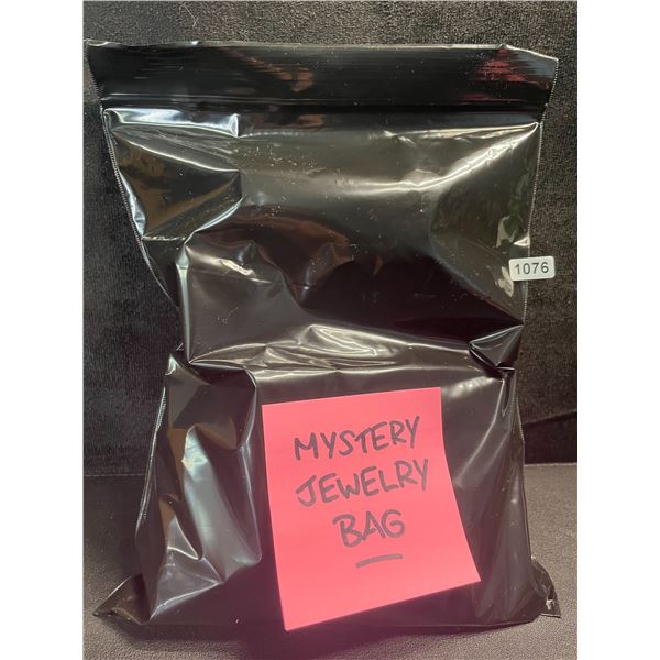 1 Mystery Bag of Jewelry - Includes 10 Assorted Brand New Jewelry Items!