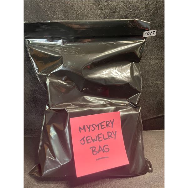 1 Mystery Bag of Jewelry - Includes 10 Assorted Brand New Jewelry Items!