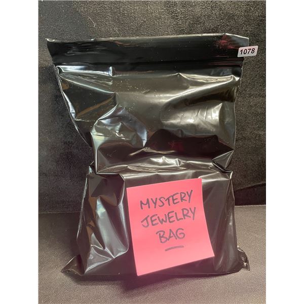 1 Mystery Bag of Jewelry - Includes 10 Assorted Brand New Jewelry Items!